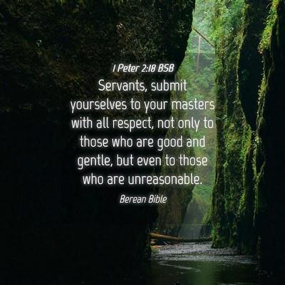Picture 04 - 1 Peter 2:18 BSB - Servants, submit yourselves to your masters with - Bible Verse Picture