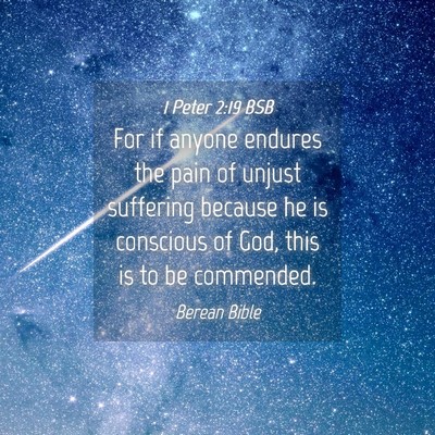 Picture 04 - 1 Peter 2:19 BSB - For if anyone endures the pain of unjust - Bible Verse Picture