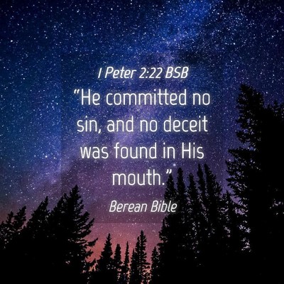 Picture 04 - 1 Peter 2:22 BSB - “He committed no sin, and no deceit was found - Bible Verse Picture