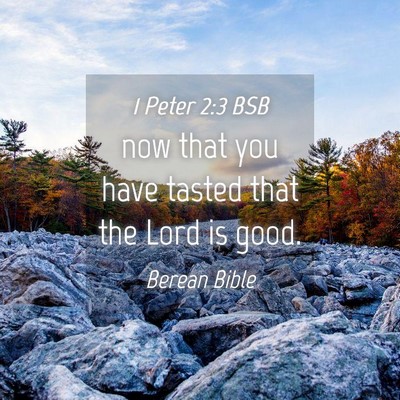 Picture 04 - 1 Peter 2:3 BSB - now that you have tasted that the Lord is - Bible Verse Picture