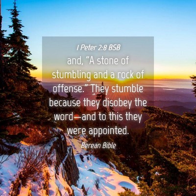 Picture 04 - 1 Peter 2:8 BSB - and, “A stone of stumbling and a rock of - Bible Verse Picture