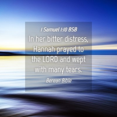 Picture 04 - 1 Samuel 1:10 BSB - In her bitter distress, Hannah prayed to the LORD - Bible Verse Picture