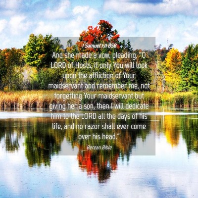 Picture 04 - 1 Samuel 1:11 BSB - And she made a vow, pleading, “O LORD of Hosts, - Bible Verse Picture