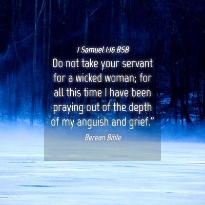 Picture 04 - 1 Samuel 1:16 BSB - Do not take your servant for a wicked woman; for - Bible Verse Picture