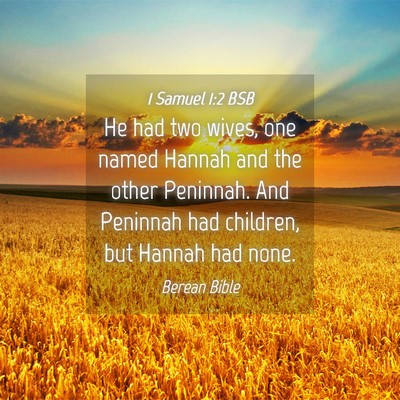 Picture 04 - 1 Samuel 1:2 BSB - He had two wives, one named Hannah and the other - Bible Verse Picture
