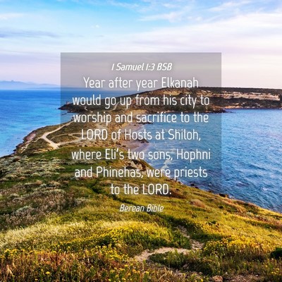 Picture 04 - 1 Samuel 1:3 BSB - Year after year Elkanah would go up from his city - Bible Verse Picture