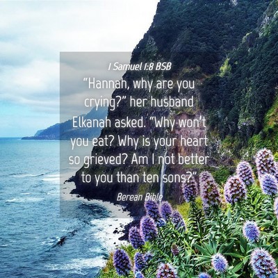 Picture 04 - 1 Samuel 1:8 BSB - “Hannah, why are you crying?” her husband - Bible Verse Picture