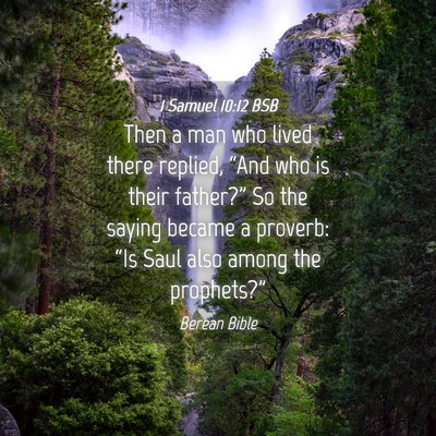 Picture 04 - 1 Samuel 10:12 BSB - Then a man who lived there replied, “And who is - Bible Verse Picture