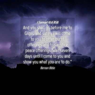 Picture 04 - 1 Samuel 10:8 BSB - And you shall go before me to Gilgal, and surely - Bible Verse Picture