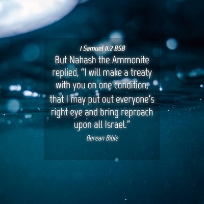 Picture 04 - 1 Samuel 11:2 BSB - But Nahash the Ammonite replied, “I will make a - Bible Verse Picture