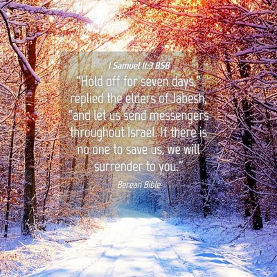 Picture 04 - 1 Samuel 11:3 BSB - “Hold off for seven days,” replied the elders - Bible Verse Picture