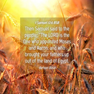Picture 04 - 1 Samuel 12:6 BSB - Then Samuel said to the people, “The LORD is - Bible Verse Picture