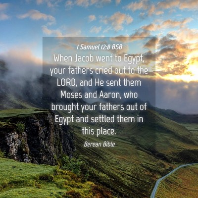 Picture 04 - 1 Samuel 12:8 BSB - When Jacob went to Egypt, your fathers cried out - Bible Verse Picture