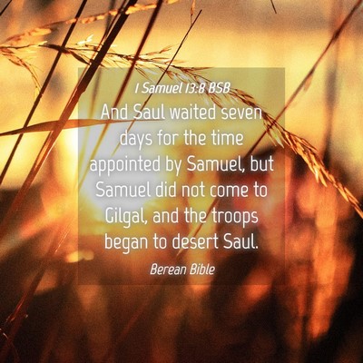 Picture 04 - 1 Samuel 13:8 BSB - And Saul waited seven days for the time appointed - Bible Verse Picture