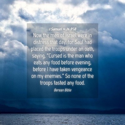 Picture 04 - 1 Samuel 14:24 BSB - Now the men of Israel were in distress that day, - Bible Verse Picture