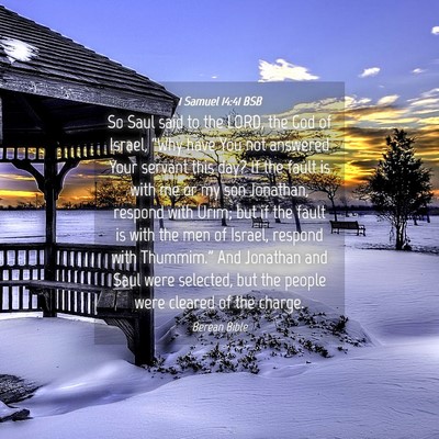 Picture 04 - 1 Samuel 14:41 BSB - So Saul said to the LORD, the God of Israel, - Bible Verse Picture