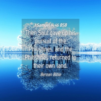 Picture 04 - 1 Samuel 14:46 BSB - Then Saul gave up his pursuit of the Philistines, - Bible Verse Picture