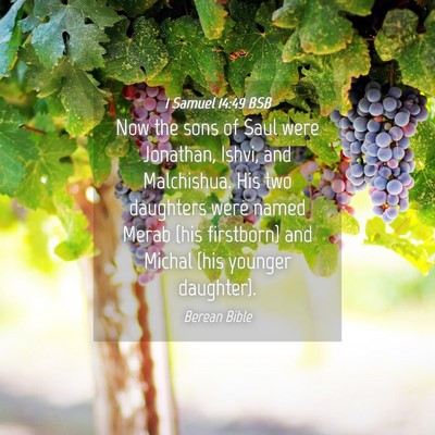 Picture 04 - 1 Samuel 14:49 BSB - Now the sons of Saul were Jonathan, Ishvi, and - Bible Verse Picture
