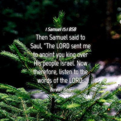 Picture 04 - 1 Samuel 15:1 BSB - Then Samuel said to Saul, “The LORD sent me to - Bible Verse Picture