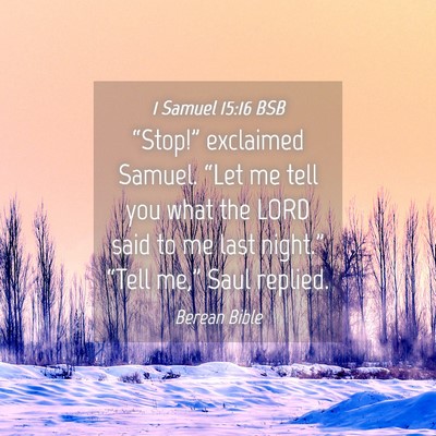 Picture 04 - 1 Samuel 15:16 BSB - “Stop!” exclaimed Samuel. “Let me tell you - Bible Verse Picture