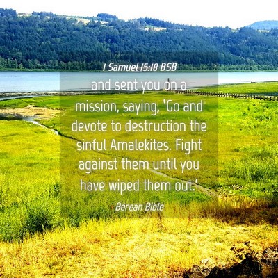 Picture 04 - 1 Samuel 15:18 BSB - and sent you on a mission, saying, ‘Go and - Bible Verse Picture