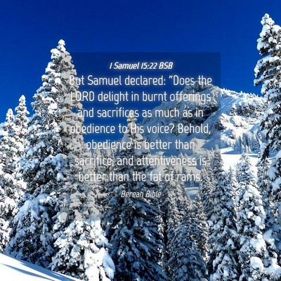 Picture 04 - 1 Samuel 15:22 BSB - But Samuel declared: “Does the LORD delight in - Bible Verse Picture