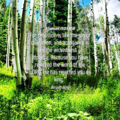 Picture 04 - 1 Samuel 15:23 BSB - For rebellion is like the sin of divination, and - Bible Verse Picture