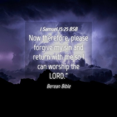 Picture 04 - 1 Samuel 15:25 BSB - Now therefore, please forgive my sin and return - Bible Verse Picture