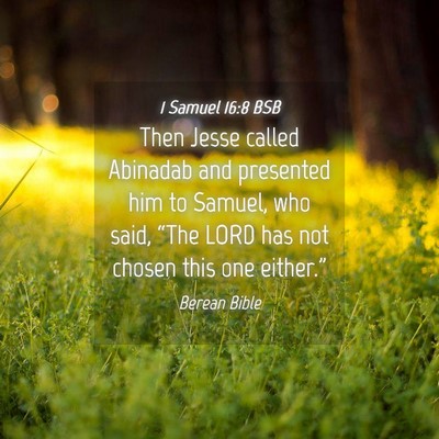 Picture 04 - 1 Samuel 16:8 BSB - Then Jesse called Abinadab and presented him to - Bible Verse Picture