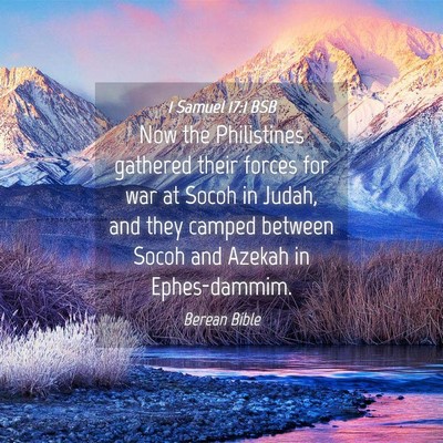Picture 04 - 1 Samuel 17:1 BSB - Now the Philistines gathered their forces for war - Bible Verse Picture