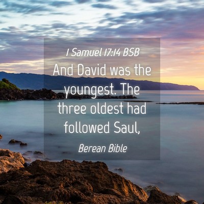 Picture 04 - 1 Samuel 17:14 BSB - And David was the youngest. The three oldest had - Bible Verse Picture