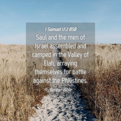Picture 04 - 1 Samuel 17:2 BSB - Saul and the men of Israel assembled and camped - Bible Verse Picture