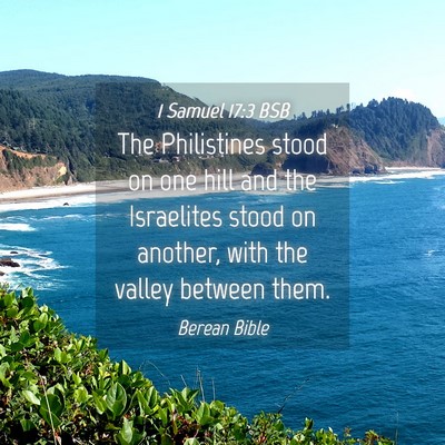 Picture 04 - 1 Samuel 17:3 BSB - The Philistines stood on one hill and the - Bible Verse Picture