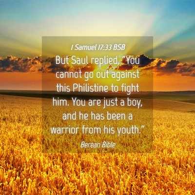 Picture 04 - 1 Samuel 17:33 BSB - But Saul replied, “You cannot go out against - Bible Verse Picture