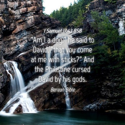 Picture 04 - 1 Samuel 17:43 BSB - “Am I a dog,” he said to David, “that you - Bible Verse Picture