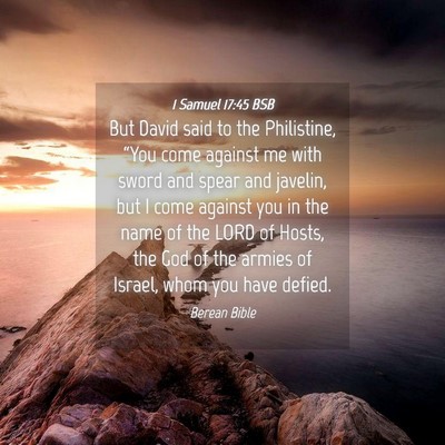 Picture 04 - 1 Samuel 17:45 BSB - But David said to the Philistine, “You come - Bible Verse Picture
