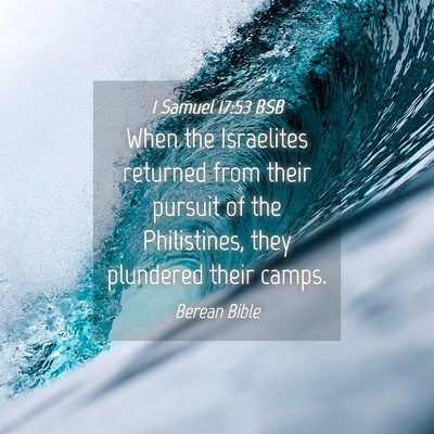 Picture 04 - 1 Samuel 17:53 BSB - When the Israelites returned from their pursuit - Bible Verse Picture