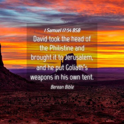 Picture 04 - 1 Samuel 17:54 BSB - David took the head of the Philistine and brought - Bible Verse Picture