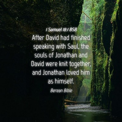 Picture 04 - 1 Samuel 18:1 BSB - After David had finished speaking with Saul, the - Bible Verse Picture