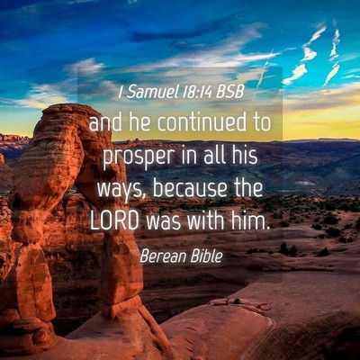 Picture 04 - 1 Samuel 18:14 BSB - and he continued to prosper in all his ways, - Bible Verse Picture