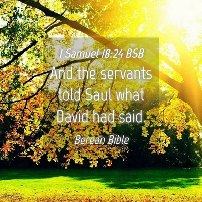 Picture 04 - 1 Samuel 18:24 BSB - And the servants told Saul what David had - Bible Verse Picture