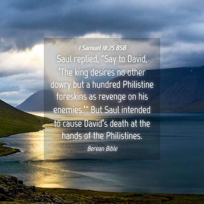 Picture 04 - 1 Samuel 18:25 BSB - Saul replied, “Say to David, ‘The king - Bible Verse Picture