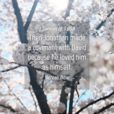 Picture 04 - 1 Samuel 18:3 BSB - Then Jonathan made a covenant with David because - Bible Verse Picture