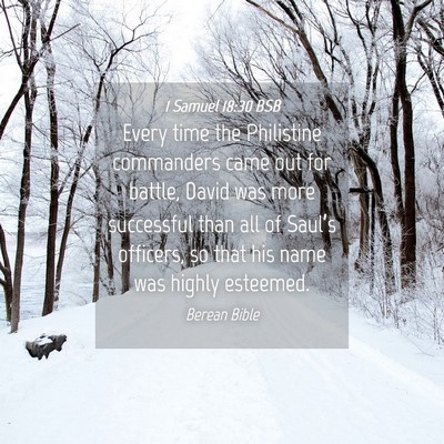 Picture 04 - 1 Samuel 18:30 BSB - Every time the Philistine commanders came out for - Bible Verse Picture
