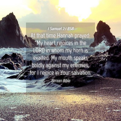 Picture 04 - 1 Samuel 2:1 BSB - At that time Hannah prayed: “My heart rejoices - Bible Verse Picture