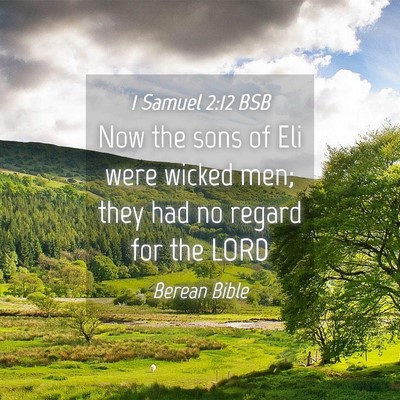 Picture 04 - 1 Samuel 2:12 BSB - Now the sons of Eli were wicked men; they had no - Bible Verse Picture