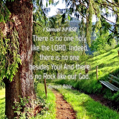 Picture 04 - 1 Samuel 2:2 BSB - There is no one holy like the LORD. Indeed, there - Bible Verse Picture