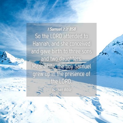 Picture 04 - 1 Samuel 2:21 BSB - So the LORD attended to Hannah, and she conceived - Bible Verse Picture