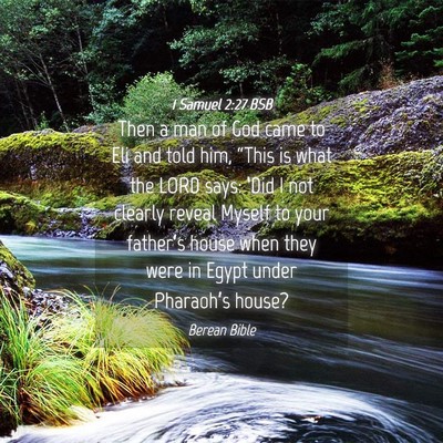 Picture 04 - 1 Samuel 2:27 BSB - Then a man of God came to Eli and told him, - Bible Verse Picture