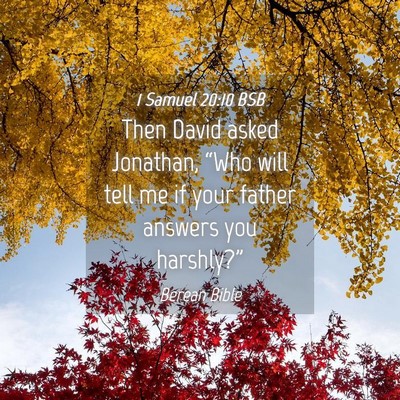 Picture 04 - 1 Samuel 20:10 BSB - Then David asked Jonathan, “Who will tell me if - Bible Verse Picture